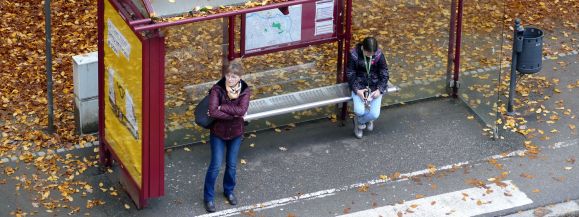 Dodatkowa komunikacja miejska na Wszystkich Świętych 2026 w Siedlcach