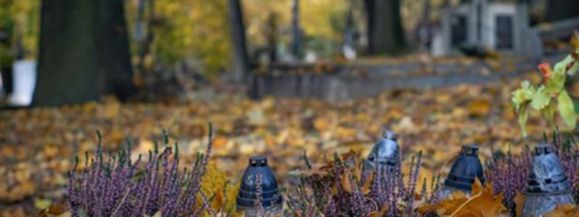 Znajdź gr&oacute;b na siedleckim cmentarzu przez internet