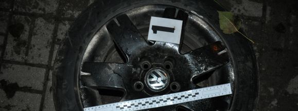 ZŁODZIEJE K&Oacute;Ł ZATRZYMANI NA GORĄCYM UCZYNKU