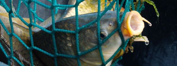 Policja skontroluje targowiska