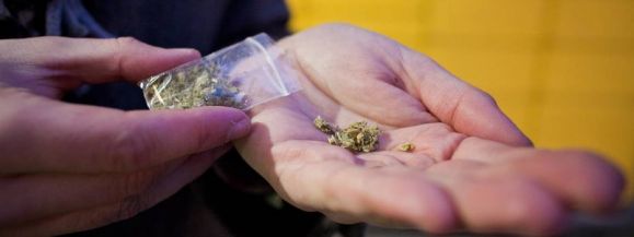 Problem tzw. dopalaczy powraca także w Siedlcach&hellip;