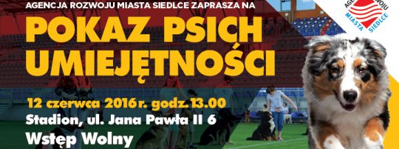 Pokaz psich umiejętności