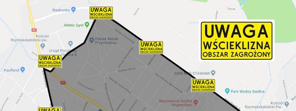 Wścieklizna w Siedlcach. Wyznaczono obszar zagrożony