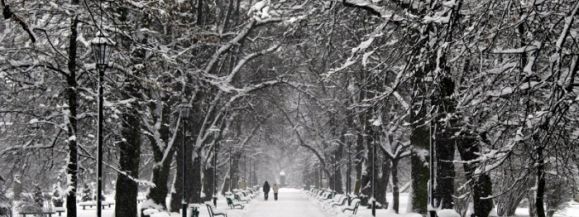 W Siedlcach padł rekord zimna