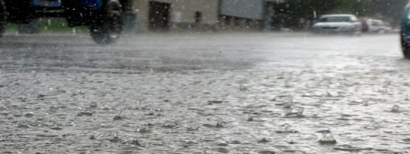 Skutki  burzy w Siedlcach i okolicach