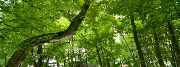 Grab Jacek w pierwszej tr&oacute;jce