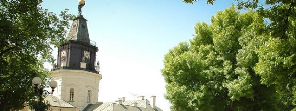 Miasto w przyszłym roku zajmie się drzewami w centrum