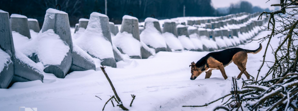 Tarcza Wsch&oacute;d: realne wzmocnienie bezpieczeństwa. Podsumowanie efekt&oacute;w i plany na 2026 rok.