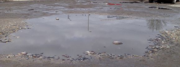 Raport z krainy nieposkromionego błota