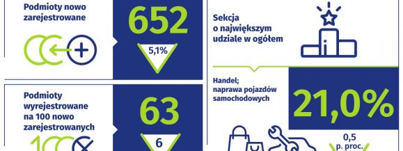 Podmioty gospodarki narodowej w 2023 roku w m. Siedlcach