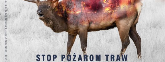 Stop Pożarom Traw