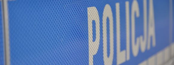 Zatrzymani sprawcy kradzieży.