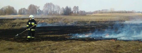 Płoną trawy na ul. Piaskowej