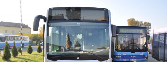 Dodatkowa komunikacja miejska na Wszystkich Świętych