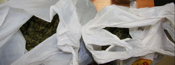 Narkotyki w budynku gospodarczym