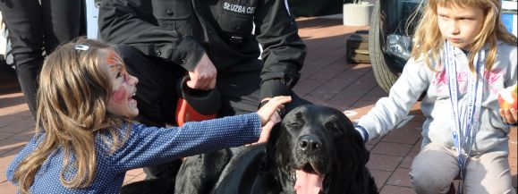 Ciekawie, nowatorsko i pysznie na Dniach z Doradztwem Rolniczym (fotogaleria)