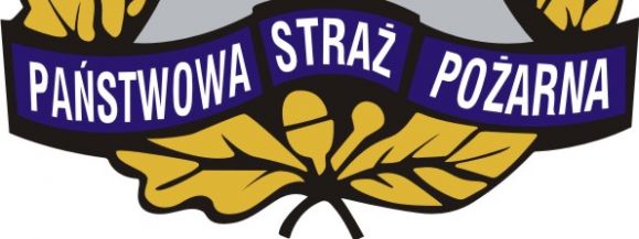 Wypadek awionetki w Mingosach