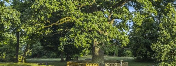 Bolko &ndash; do boju!