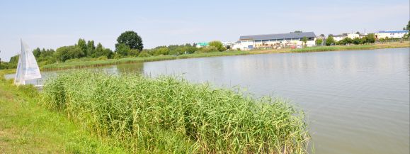 Czystość siedleckiego zalewu sprawdzona przez Sanepid&hellip;