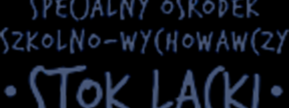 V Zimowy Zjazd Integracyjny Szk&oacute;ł Specjalnych