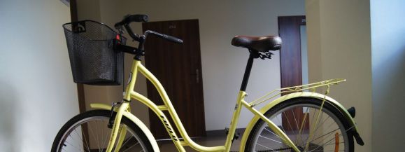 Onill, Zokes i Fuzlu do odbioru