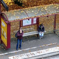 Dodatkowa komunikacja miejska na Wszystkich Świętych 2026 w Siedlcach