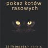 Zdjęcie wydarzenia